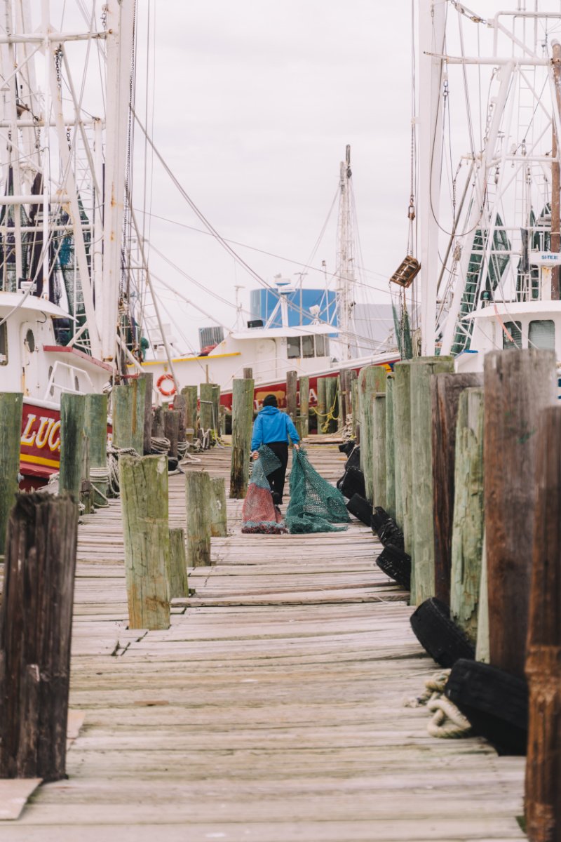 Un crevettier traîne ses filets sur le quai, flanqué de crevettiers. (Crédit photo : Joseph Bui)
