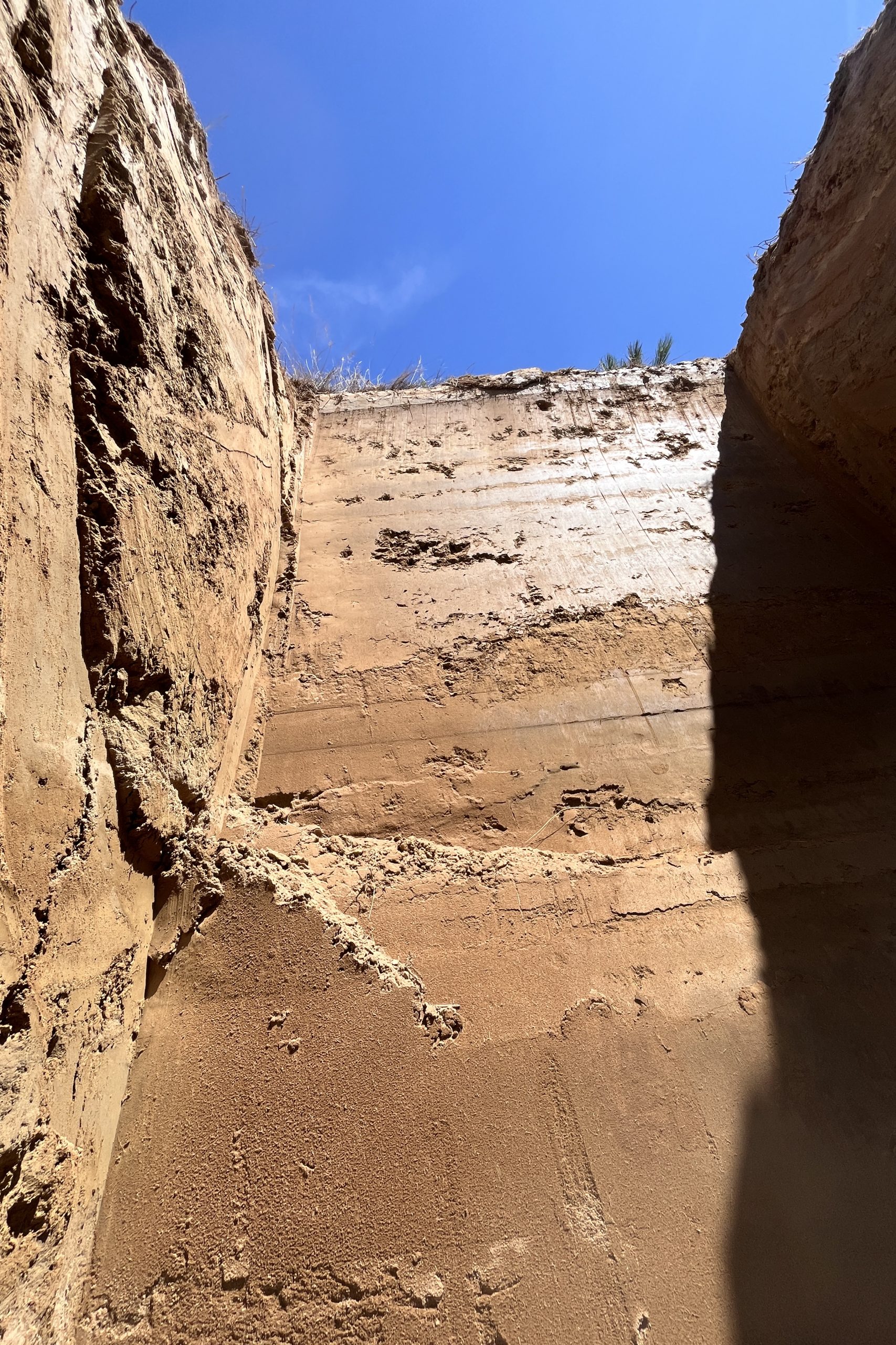 Une fosse de sol au Sandpoint Organic Agriculture Centre après une excavation DSE expose les niveaux de sol profond. (Crédit photo : Michael Strickland)