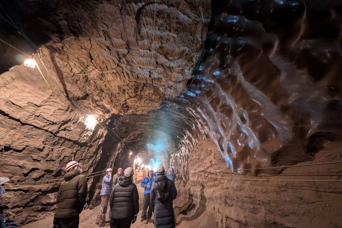Melissa Ward Jones, chercheuse principale du projet Permafrost Grown, dirige une tournée avec les membres de l'équipe et les producteurs du tunnel de recherche sur le pergélisol du Laboratoire de recherche et d'ingénierie des régions froides à Fox, en Alaska. Une coupe transversale d'un énorme corps de glace au sol s'étend le long de la paroi droite du tunnel. (Crédit photo : Laura Weingartner)