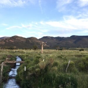 Joyeux Jour de la Terre (qui a lieu tous les jours)