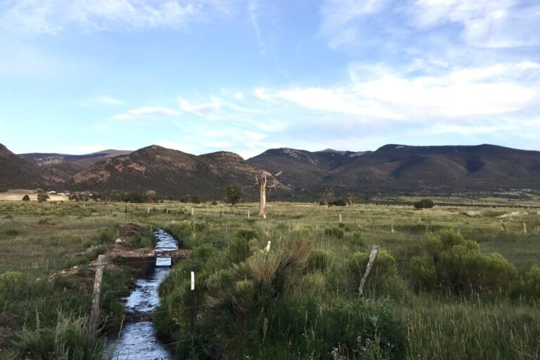 Joyeux Jour de la Terre (qui a lieu tous les jours)