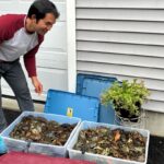 La communauté cambodgienne du Maine vise à garder les crabes verts envahissants à distance