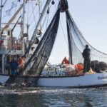 La NOAA est toujours debout. Pour l&rsquo;instant.