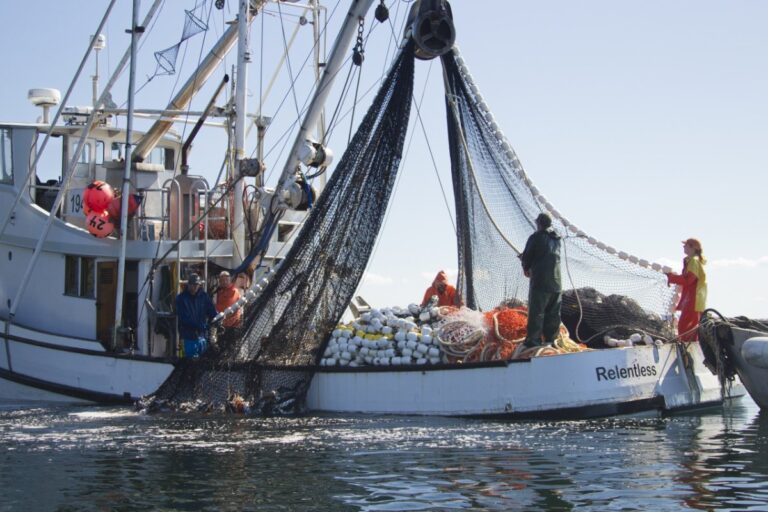 La NOAA est toujours debout. Pour l&rsquo;instant.