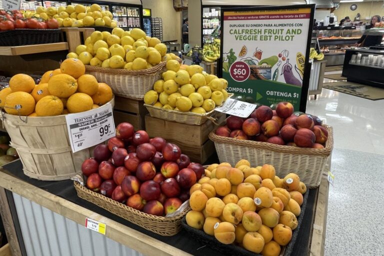 Article d&rsquo;opinion : La Californie devrait renouveler le financement de l&rsquo;État pour la sécurité alimentaire