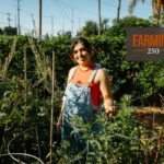 « Mettez la main dans la terre, repartez avec des produits frais »