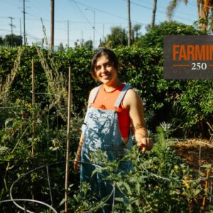 « Mettez la main dans la terre, repartez avec des produits frais »