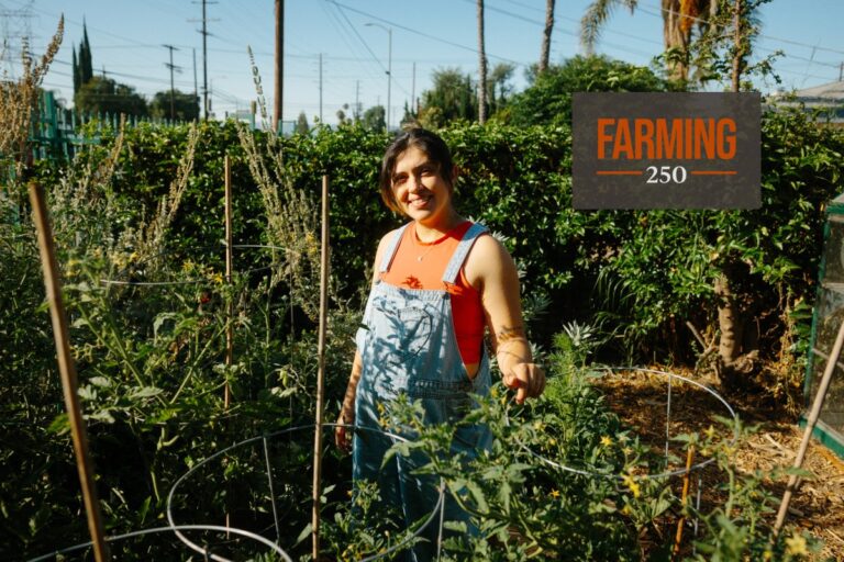 « Mettez la main dans la terre, repartez avec des produits frais »