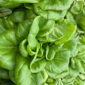 Dans l’Alaska reculé, les promesses et les limites de l’agriculture verticale