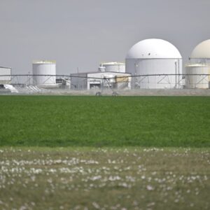Lorsqu&rsquo;il s&rsquo;agit de protection des travailleurs agricoles, « les grandes sociétés agricoles sont aux commandes »