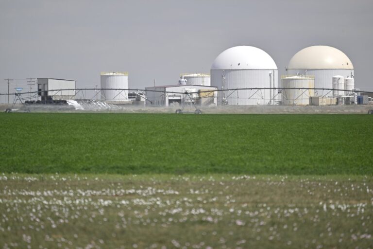 Lorsqu&rsquo;il s&rsquo;agit de protection des travailleurs agricoles, « les grandes sociétés agricoles sont aux commandes »
