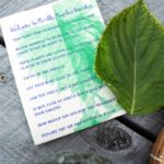 Dans ce jardin public, une herbe asiatique offre un portail vers le passé