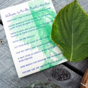 Dans ce jardin public, une herbe asiatique offre un portail vers le passé