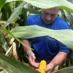 Voici à quoi ressemble (parfois) l’agriculture régénérative