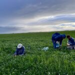 Étude : Les fermes agricoles régénératives détiennent des solutions climatiques clés
