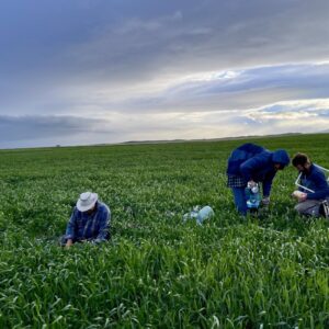 Étude : Les fermes agricoles régénératives détiennent des solutions climatiques clés