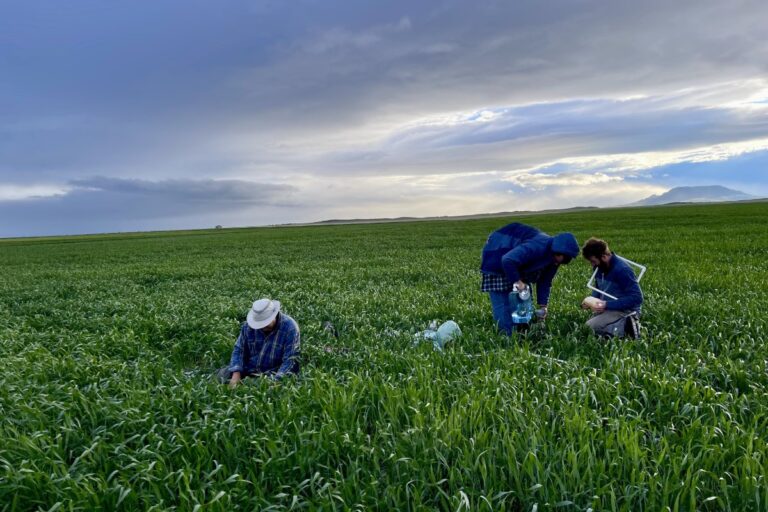Étude : Les fermes agricoles régénératives détiennent des solutions climatiques clés